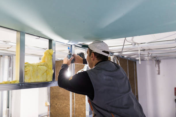 Insulation for New Construction in Chesaning, MI